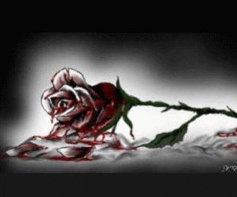 rose